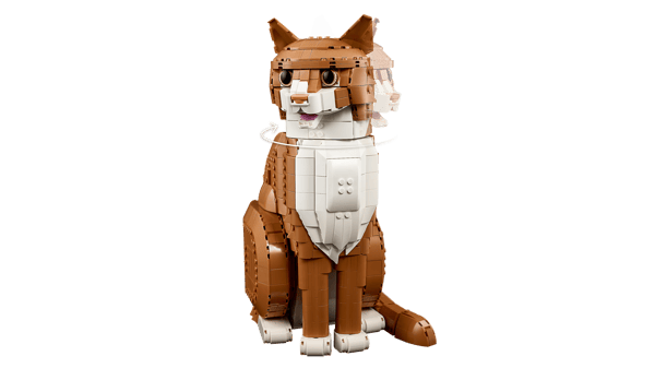 Orange Cat — 4