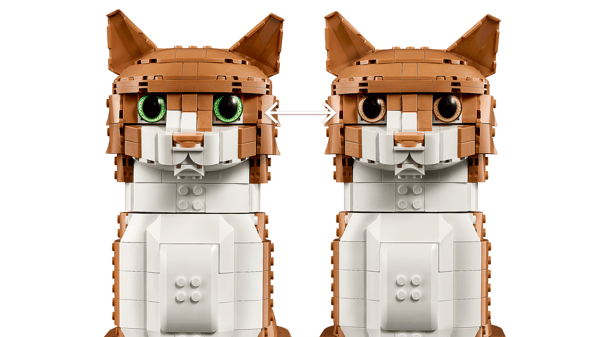Orange Cat — 5