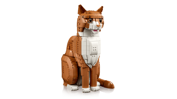 Orange Cat — 6