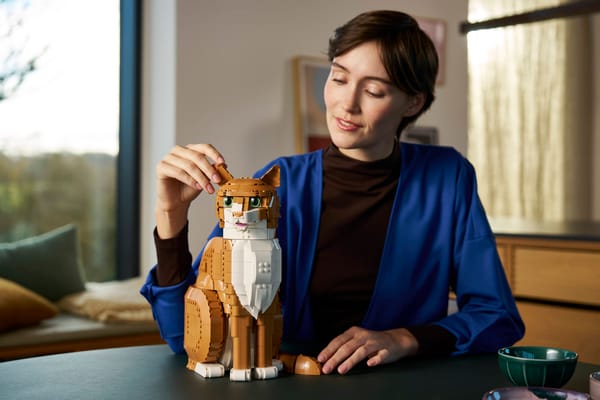 Orange Cat — 8