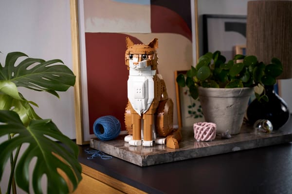 Orange Cat — 9