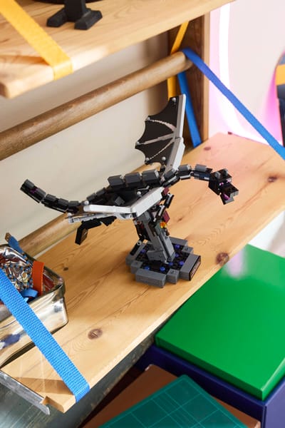 The Ender Dragon — 14