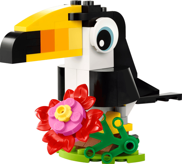 Tropical Toucan — 2