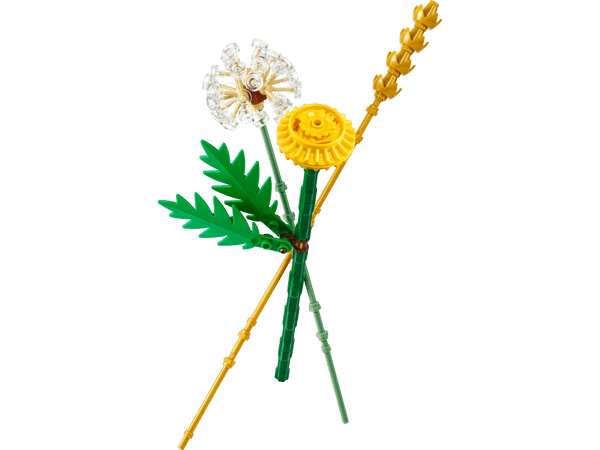 Field Flowers — 2
