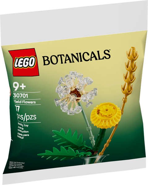 Field Flowers