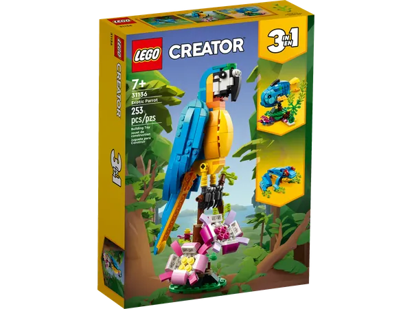Exotic Parrot