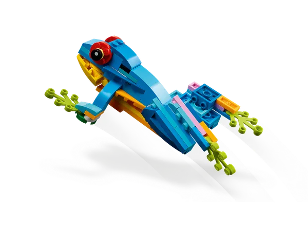 Exotic Parrot — 5