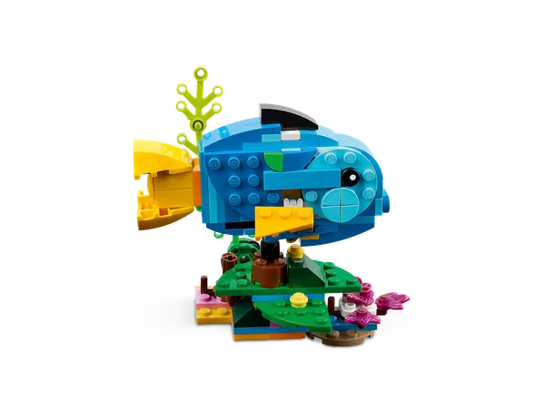 Exotic Parrot — 7