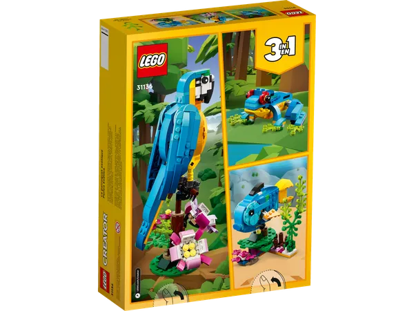 Exotic Parrot — 8