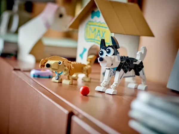 Adorable Dogs — 10