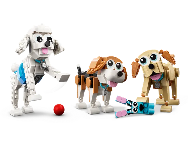 Adorable Dogs — 3