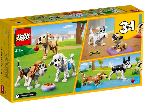 Adorable Dogs — 8