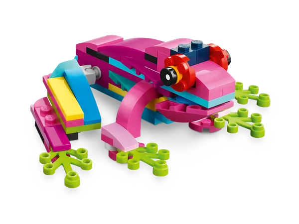 Exotic Pink Parrot — 4
