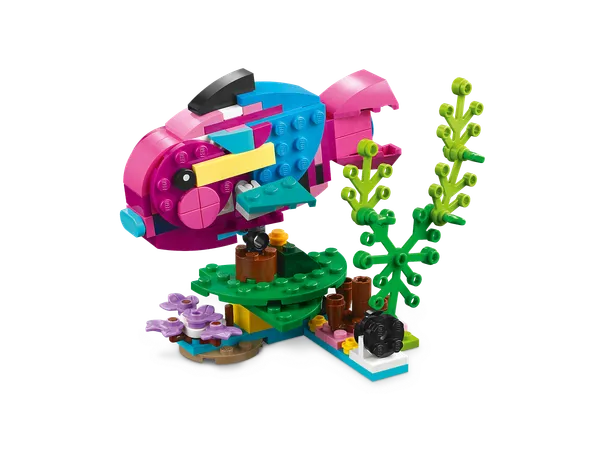 Exotic Pink Parrot — 6