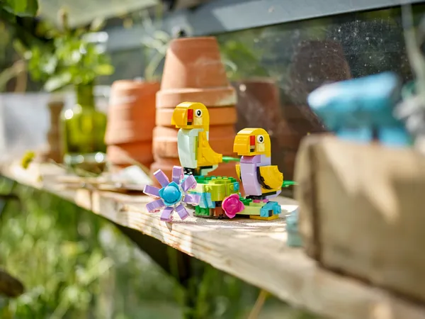 Flowers in Watering Can — 10