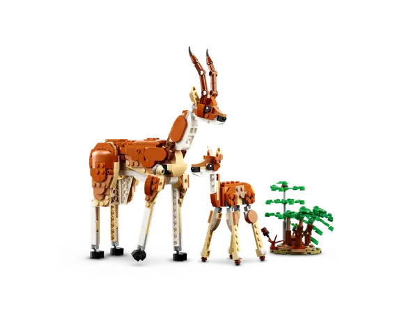 Wild Safari Animals — 6