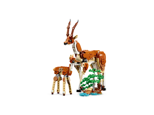 Wild Safari Animals — 7