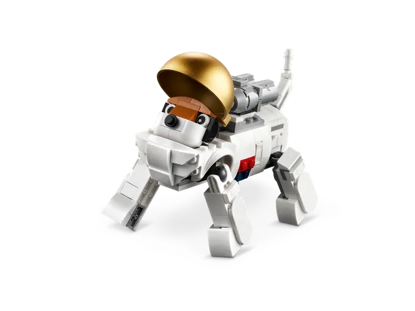 Space Astronaut — 6