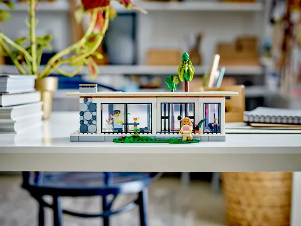 Modern House — 13