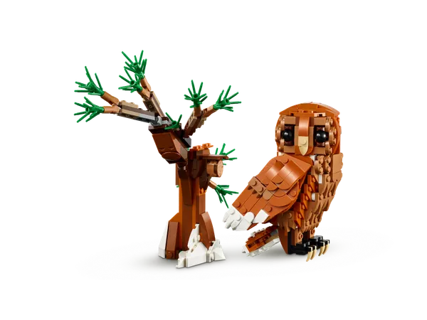 Forest Animals: Red Fox — 4
