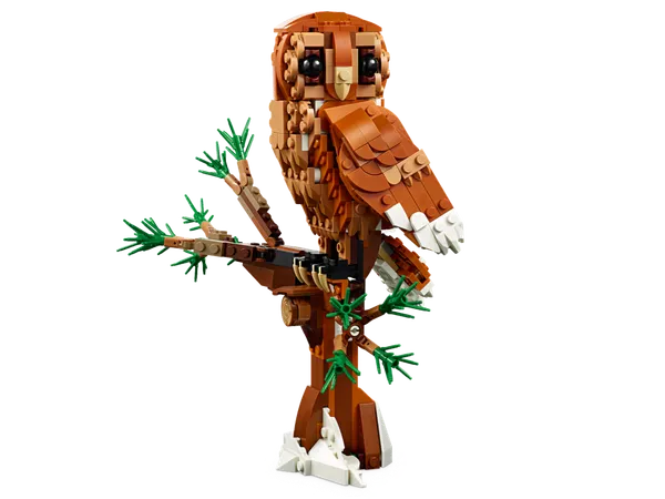 Forest Animals: Red Fox — 5