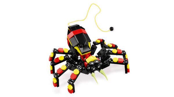 Wild Animals: Surprising Spider — 2