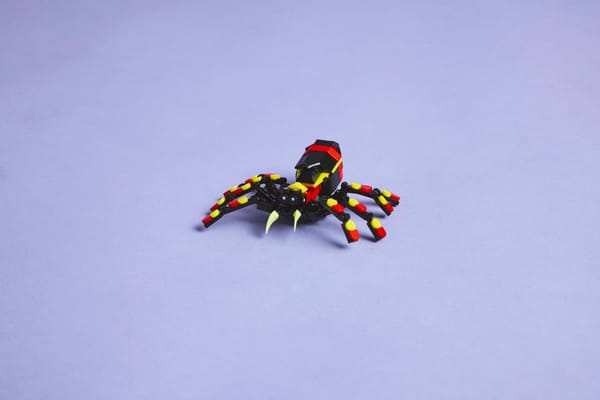 Wild Animals: Surprising Spider — 10