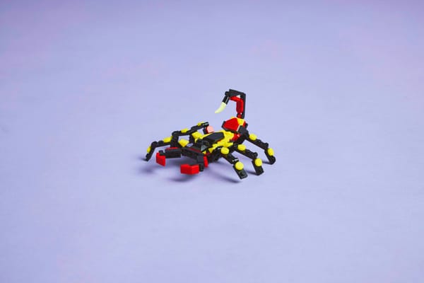 Wild Animals: Surprising Spider — 11