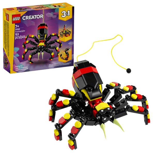 Wild Animals: Surprising Spider