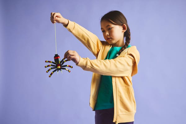 Wild Animals: Surprising Spider — 9