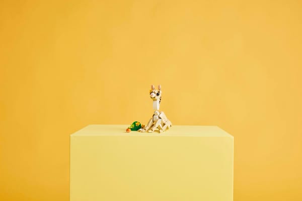 Cute Bunny — 11