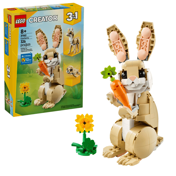 Cute Bunny