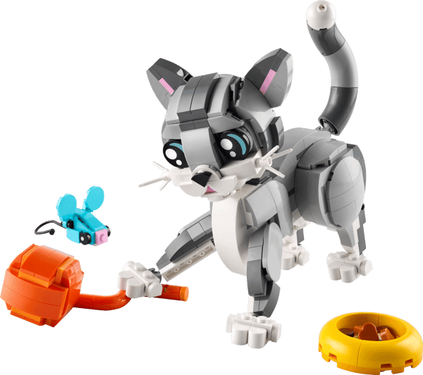 Playful Cat — 2