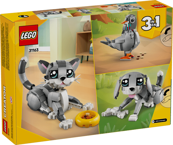 Playful Cat — 12