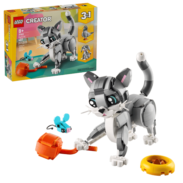 Playful Cat