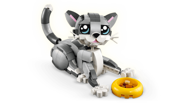 Playful Cat — 3