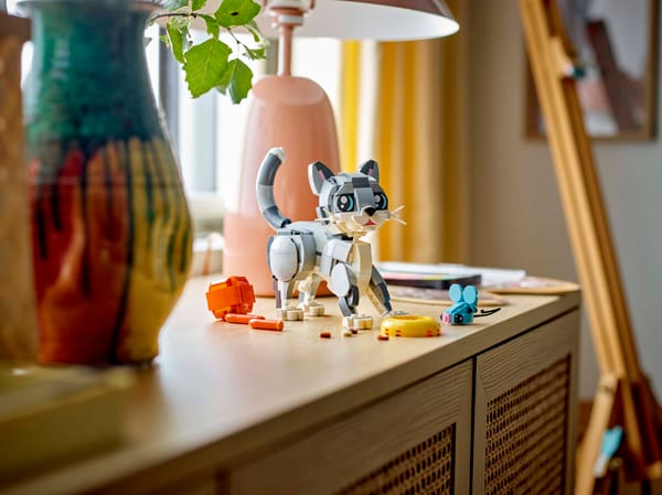 Playful Cat — 9