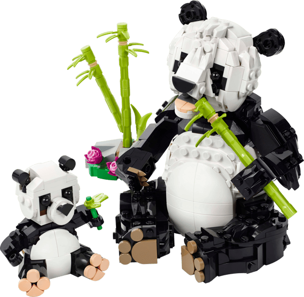 Wild Animals: Panda Family — 2