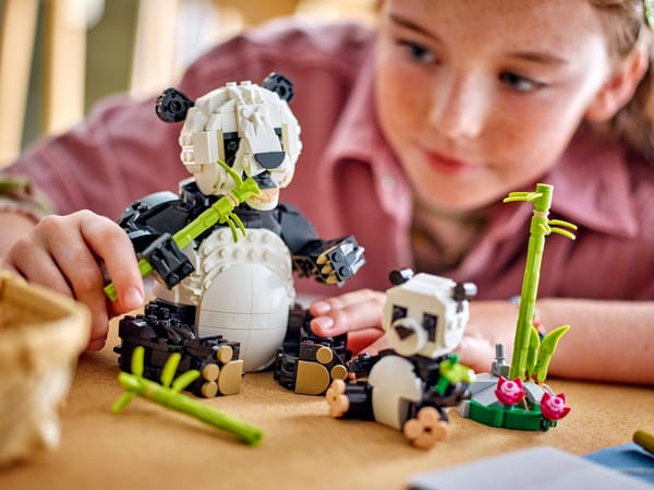 Wild Animals: Panda Family — 6