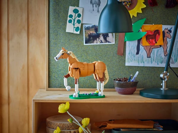 Beautiful Horse — 10