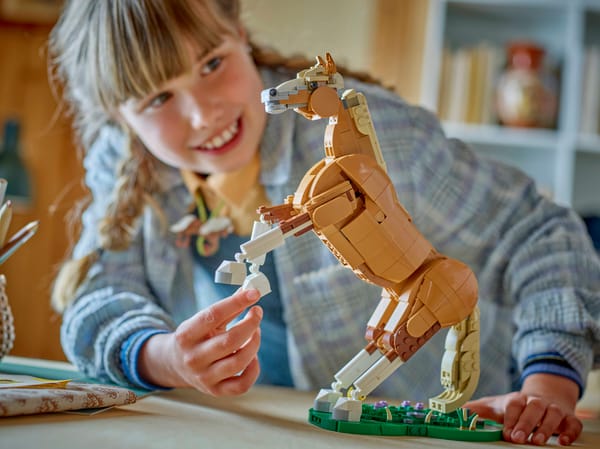 Beautiful Horse — 11