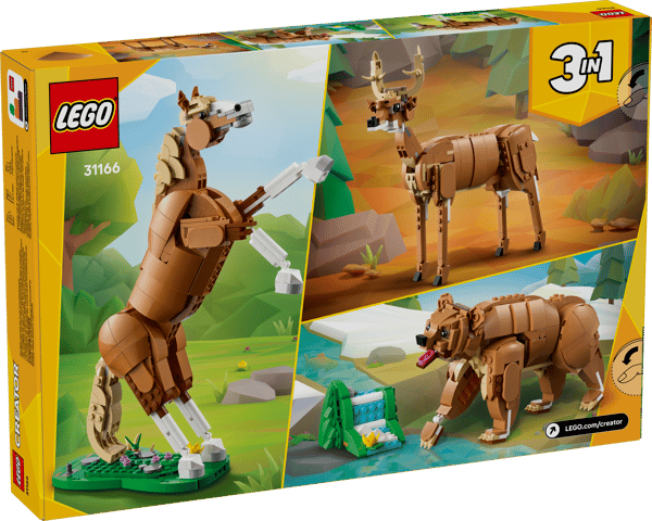 Beautiful Horse — 12