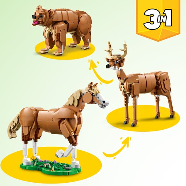 Beautiful Horse — 3