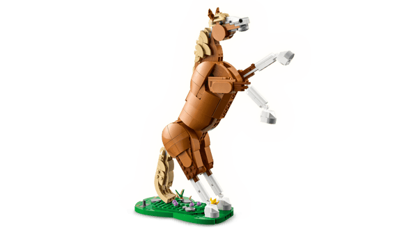 Beautiful Horse — 4