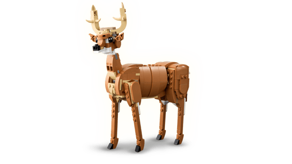 Beautiful Horse — 5
