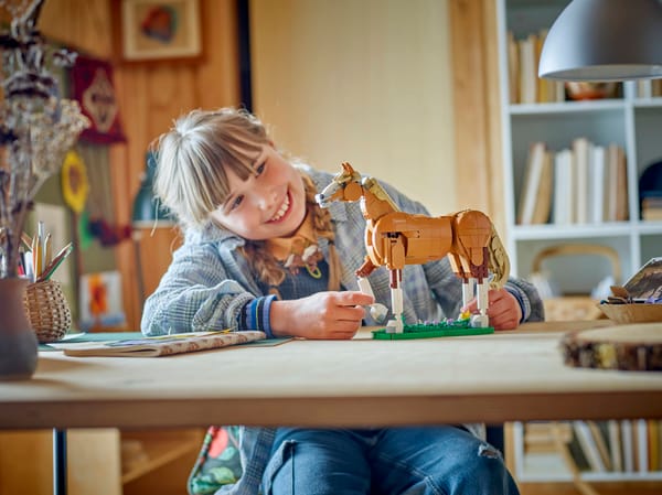 Beautiful Horse — 7