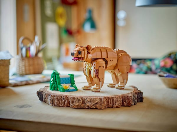 Beautiful Horse — 8