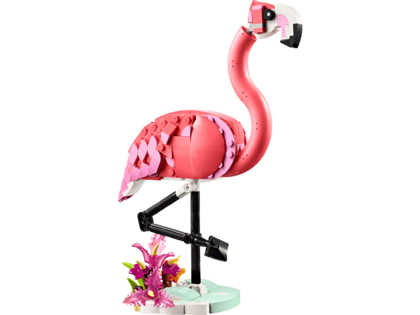 Wild Animals: Pink Flamingo — 2