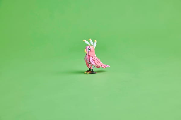 Wild Animals: Pink Flamingo — 10