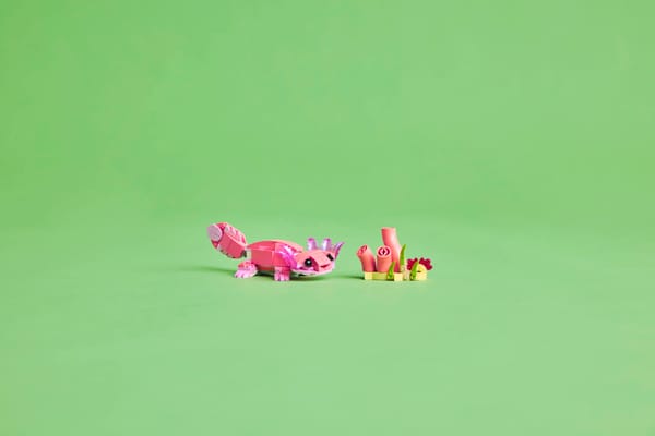 Wild Animals: Pink Flamingo — 11